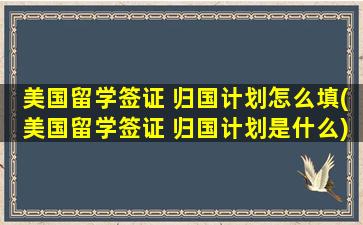 美国留学签证 归国计划怎么填(美国留学签证 归国计划是什么)